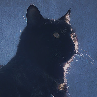 pisi