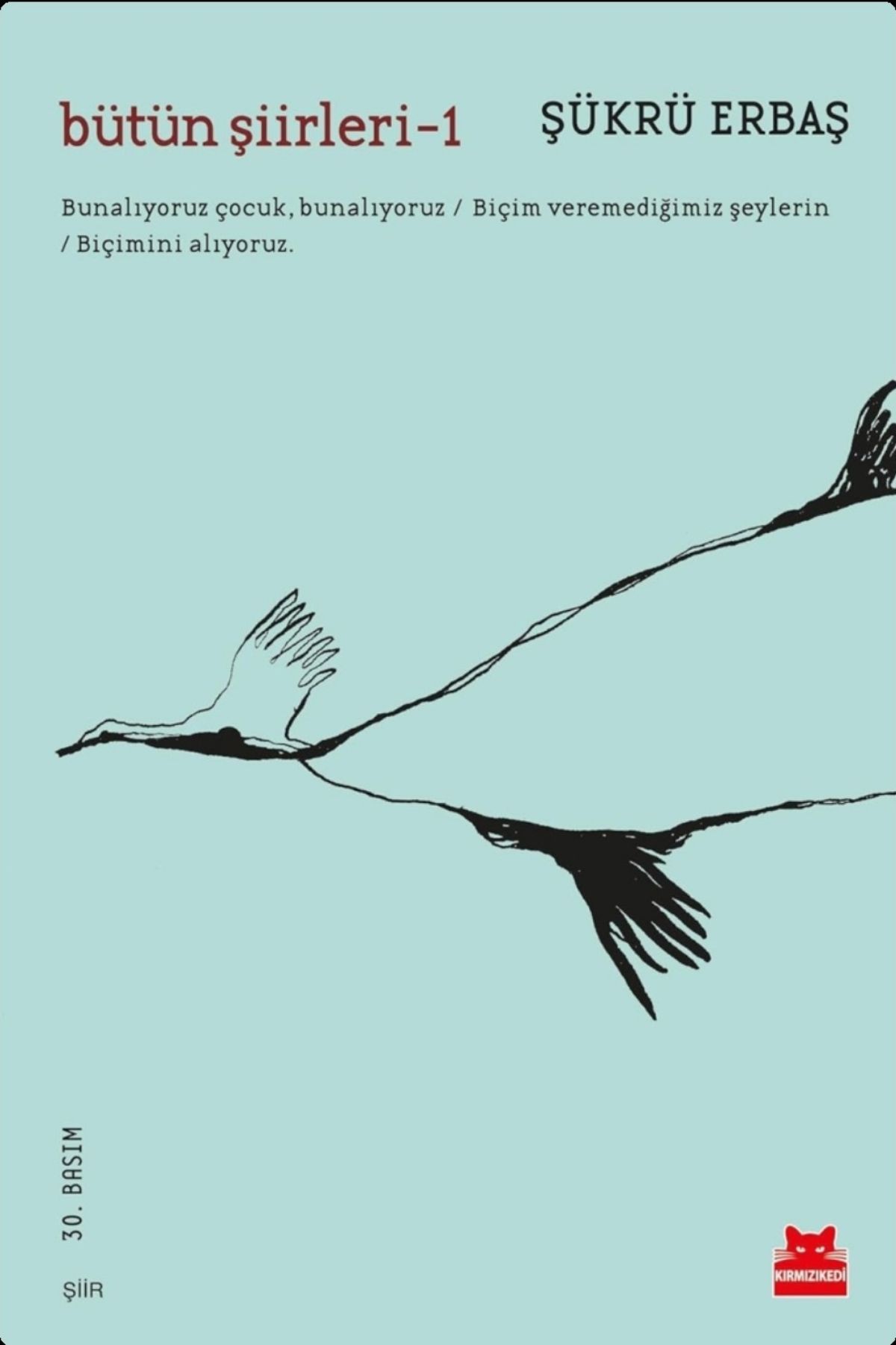 Bütün Şiirleri 1 by Şükrü Erbaş — book cover