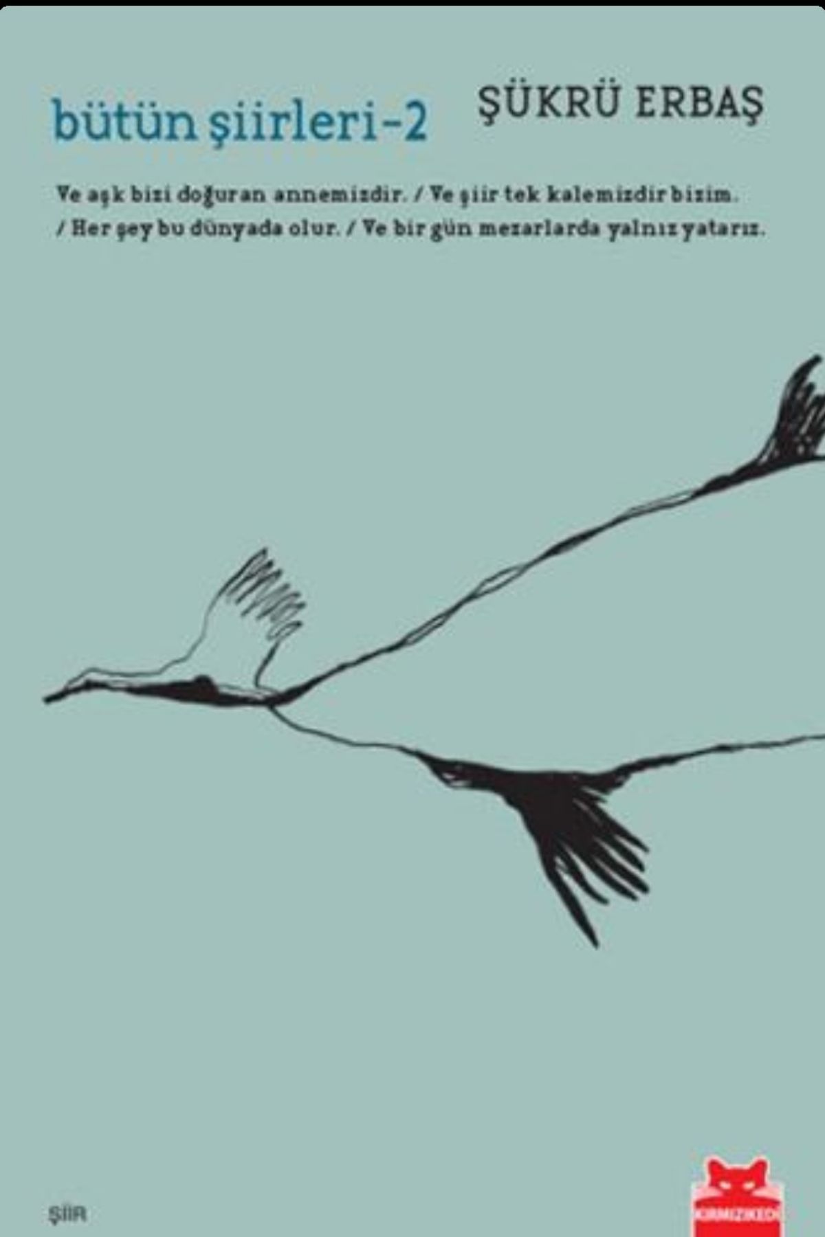Bütün Şiirleri 2 by Şükrü Erbaş — book cover