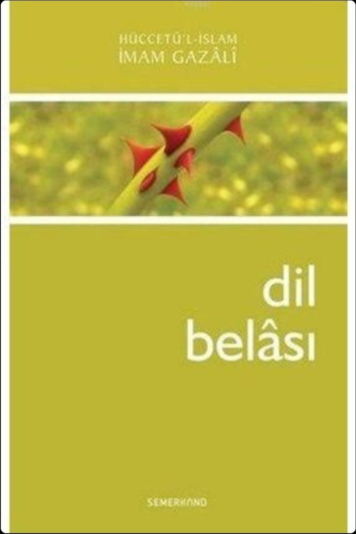 Dil Belası