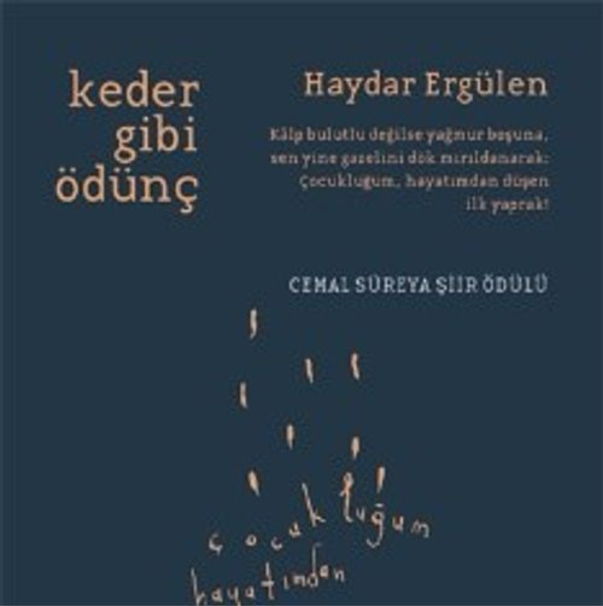 Keder Gibi Ödünç by Haydar Ergülen — book cover